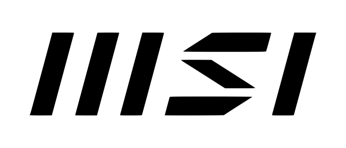 MSI