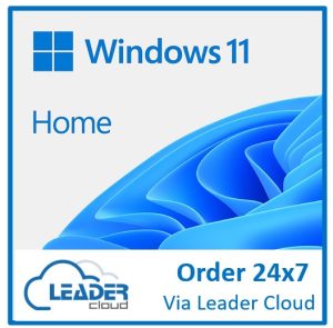 Microsoft Windows 11 Home 64-bit Electronic Software Delivery (ESD)