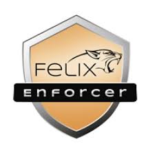 Felix T1F-EPE01-017-FA, ENFORCER SECURITY, PROTECTS AGAINST MALWARE & THREATS,1 USER, 12MTH SUB OEM