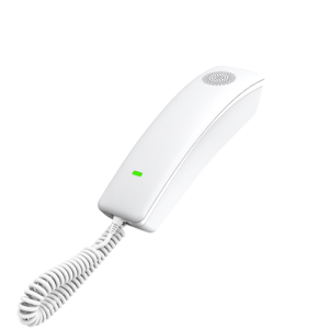 Fanvil H2U Compact IP Phone (White)