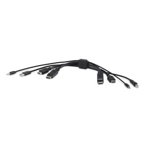 BELKIN Cybersecurity and Secure KVM TAA DUAL (1) HDMI-HDMI (1) DP-DP with USB and Audio Combo 6 ft (1.8M) - Black (F1DN2CC-HHPP6t), 3 Years Warranty