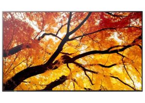 Sharp PN-M432 43" Large Display UHD