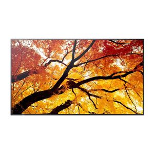 Sharp PN-M752 75" Large Display UHD