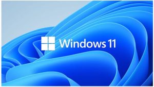 Microsoft Windows 11 Professional for Workstation 64 BIT