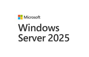 Microsoft Windows Server 2025 CAL English 1pk DSP OEI 1 Clt Device CAL No Refund No Downgrade