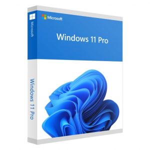 Microsoft Windows 11 Professional OEM 64-bit English 1 Pack DVD