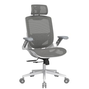 Cougar SPEEDER ONE WHITE Ergonomic Mesh Chair with Lumbar Adjustment